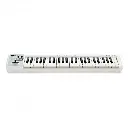 CONTROLADOR ROLAND MID 49TECLAS BLANCO