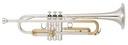 TROMPETA YAMAHA BB PROFESIONAL YTR-5330MRC