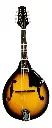 MANDOLINA ACÚSTICA DANWOOD SOMBREADA MA013BS