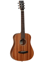 GUITARRA ACÚSTICA TRAVELER DREADNOUGTH WINTERLEAF TANGLEWOOD TW2T