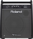 MONITOR ROLAND PERSONAL 180W PM-200