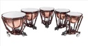 JUEGO DE 5 TIMBALES LUDWIG-MUSSER ORQUESTALES DE 20", 23", 26", 26" 29" Y 32" LTG705KG