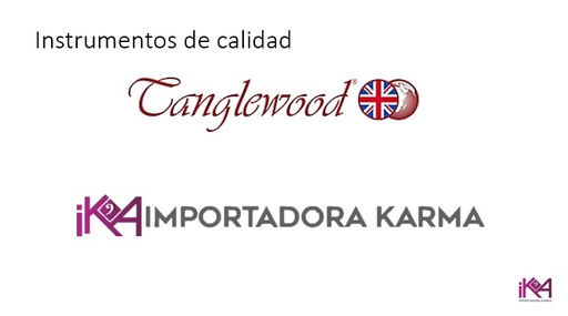 Evaluacion Productos Tanglewood